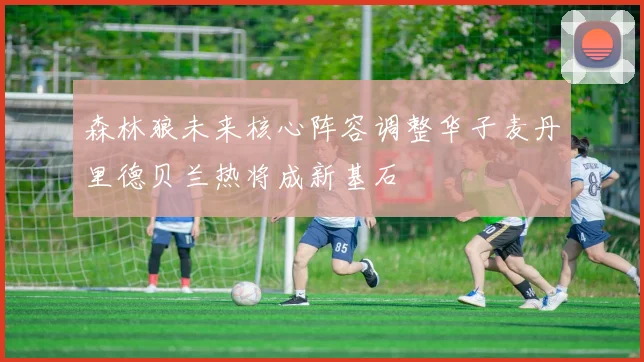 森林狼未来核心阵容调整华子麦丹里德贝兰热将成新基石