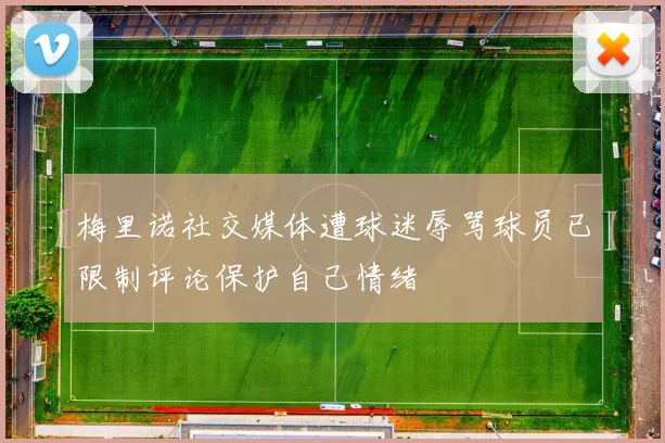 梅里诺社交媒体遭球迷辱骂球员已限制评论保护自己情绪